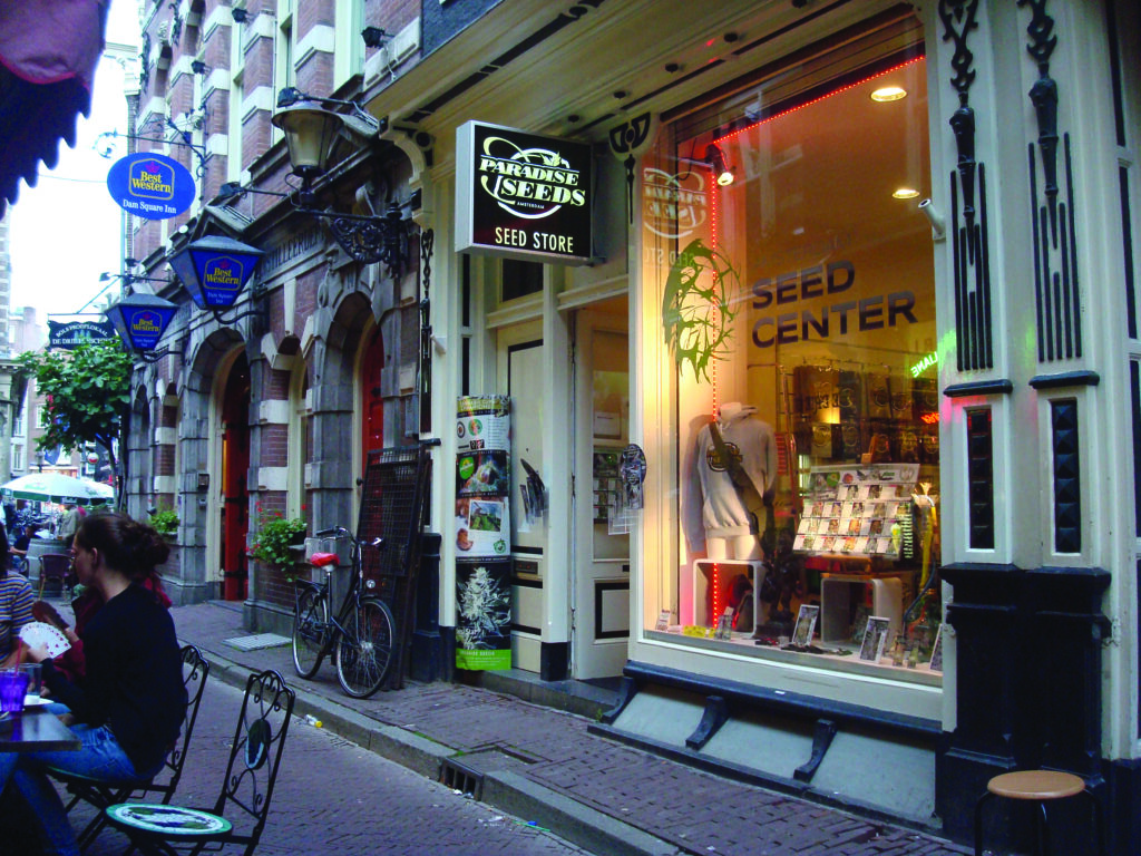 Amsterdam Seed Center store in Amsterdam opens it's doors