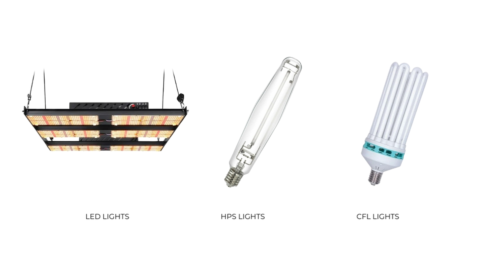 Types of cannabis light