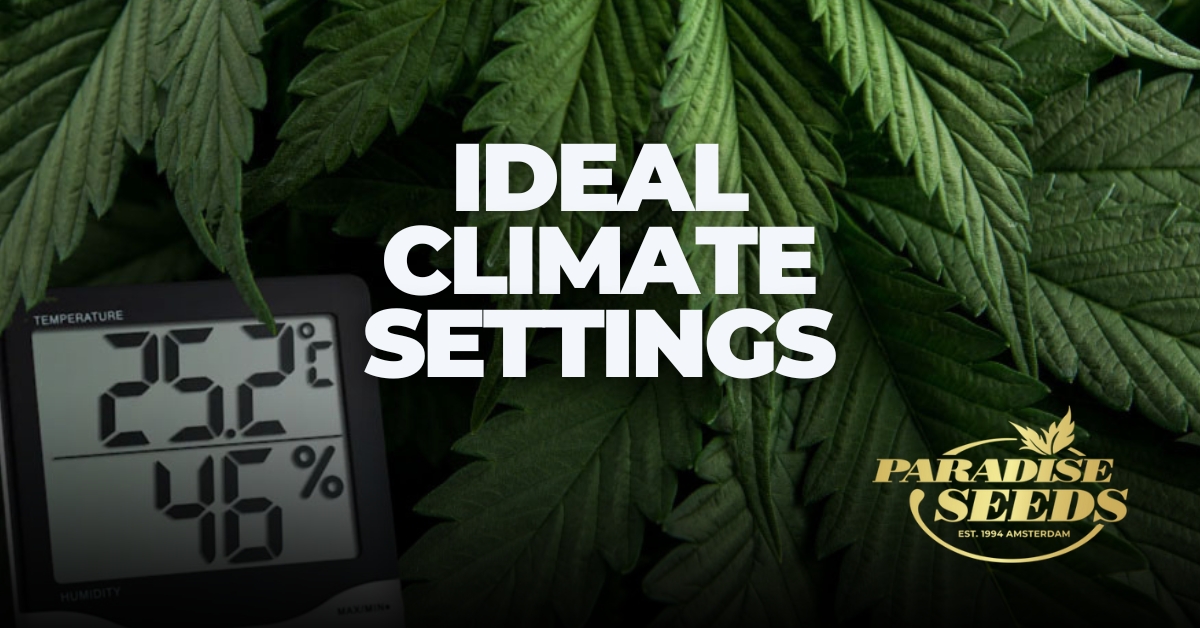 Ideal cannabis climate settings cover artwork