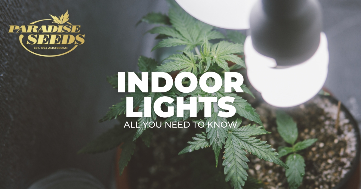 Cover image indoor grow lights article