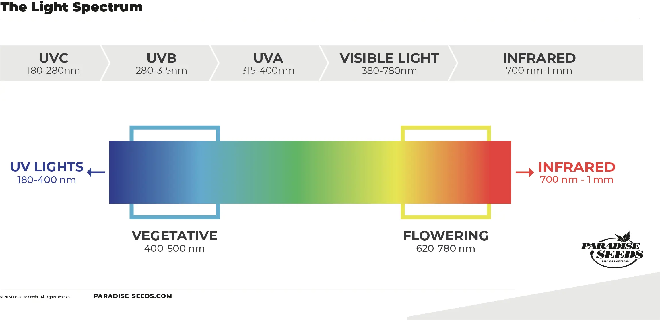 Light spectrum chart